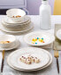 20 Piece Service for 4 Dinnerware Set