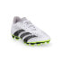 Фото #1 товара Adidas Predator Accuracy 4