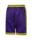 Фото #2 товара Nba Big Boys and Girls Purple Utah Jazz Classic Edition Swingman Shorts
