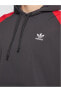 Фото #8 товара Толстовка мужская Adidas ERKEK SWEATSHIRT IC5536