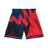 Фото #2 товара Mens Mitchell & Ness MLB HYPER HOOPS FASHION SHORTS - ATLANTA BRAVES