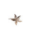 Фото #2 товара Small Starfish Barrette