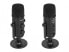 Delock 66822 - Multifunktionales Doppelkapsel USB Mikrofon mit 3.5 mm Klinken