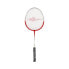 Фото #2 товара SOFTEE B 700 Pro Junior Badminton Racket