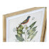 Фото #3 товара Картина тропических птиц DKD Home Decor Bird 55 х 2,5 х 70 см (4 штуки)