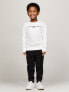 Kids' Tommy Logo Sweatshirt