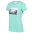 Фото #4 товара REGATTA Fingal VI short sleeve T-shirt