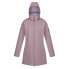 Фото #3 товара REGATTA Carisbrooke softshell jacket