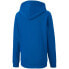 Фото #2 товара Puma teamGOAL 23 Casuals Hoody Jr 656711 02