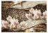 Фото #1 товара Fototapete Pearls and Magnolias