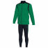 Фото #1 товара JOMA Champion V Tracksuit