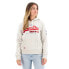 SUPERDRY Vintage Logo Athletic hoodie