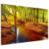 Фото #4 товара Magnettafel Herbstwald