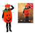 Маскарадные костюмы для детей Оранжевый Тыква (2 Предметы) (2 pcs)