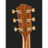 Taylor 814ce Builders Edition Blackt