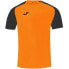 Joma Academy IV Sleeve football shirt 101968.881