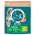 Фото #1 товара PURINA NESTLE Purina One Bifensis Adult Indoor 800g Cat Feed