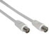 Фото #1 товара InLine Antenna Cable 2x shielded ultra low loss >75dB white 1m