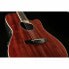 Ovation Celebrity Tradition CS-24P-KOA