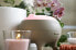 Фото #5 товара Aroma diffuser Cappuccino DF1012 Perfect Air
