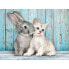 Фото #1 товара CLEMENTONI Cat And Bunny 500 Pieces Puzzle