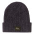 ფოტო #1 პროდუქტის QUIKSILVER Performer 2 Beanie