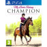 PLAYSTATION GAMES PS4 My Little Riding Champion - фото #1