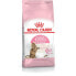 Фото #1 товара Корм для котов Royal Canin Kitten Sterilised рис Растительный птицы 2 Kg