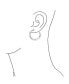 ფოტო #3 პროდუქტის Boho Style Fashion Textured Hammered Flat Large Hoop Earrings For Women For Silver Plated Brass 2 Inch