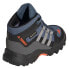ADIDAS Terrex Mid Goretex Hiking Shoes
