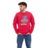 SUPERDRY Vintage Americana Graphic sweatshirt