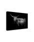 Фото #2 товара Картина на холсте Trademark Global photoINC Studio Hello Highland Cow - 27" x 33.5"