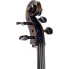 Gewa Germania 11 Paris Antik Cello