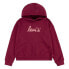 LEVI´S ® KIDS Poster Logo hoodie