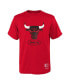 Фото #1 товара Big Boys and Girls Chicago Bulls Hardwood Classics Retro Logo T-Shirt