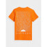 Фото #2 товара T-shirt Outhorn M HOZ21-TSM606 Orange