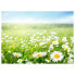 Фото #1 товара Комплект скатертей с изображением луга весной (12 шт.) - tischsetmacher