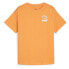 ფოტო #1 პროდუქტის PUMA Ess+ Mid 90S Graphic short sleeve T-shirt
