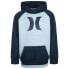 Фото #1 товара HURLEY Natuals Icon hoodie