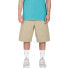 VOLCOM Loose Truck shorts