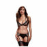 Leopard &amp; Lace Bra Top &amp; Garter &amp; Panty One Size Baci Lingerie BW3110-LEOOS