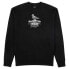 ფოტო #2 პროდუქტის THRASHER Cover the earth Long sleeve T-shirt