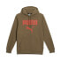 Фото #1 товара Puma Faux Embroidered Hoodie Fl Mens Brown Casual Outerwear 84578493