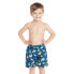 Фото #1 товара ZOGGS Swimming Shorts