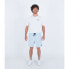 HURLEY Phantom Zuma II Volley 18´´ shorts