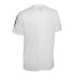 Select Pisa T-shirt T26-16654