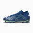 Puma Future Match FG/AG M 107370-03 shoes