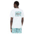 ფოტო #2 პროდუქტის DICKIES Roseburg Box short sleeve T-shirt