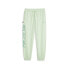 Фото #1 товара Puma Palm X Ptc Sweatpants Mens Green Casual Athletic Bottoms 62229732