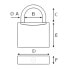 PLASTIMO Padlock Shackle Usb Memory